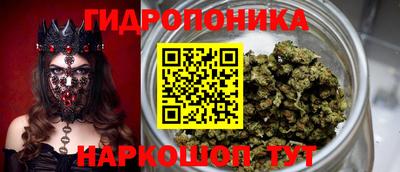 сатива Бузулук