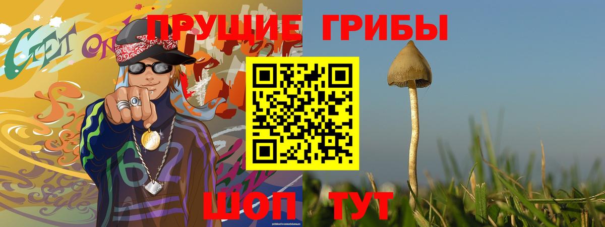 Галлюциногенные грибы Psilocybine cubensis Благовещенск